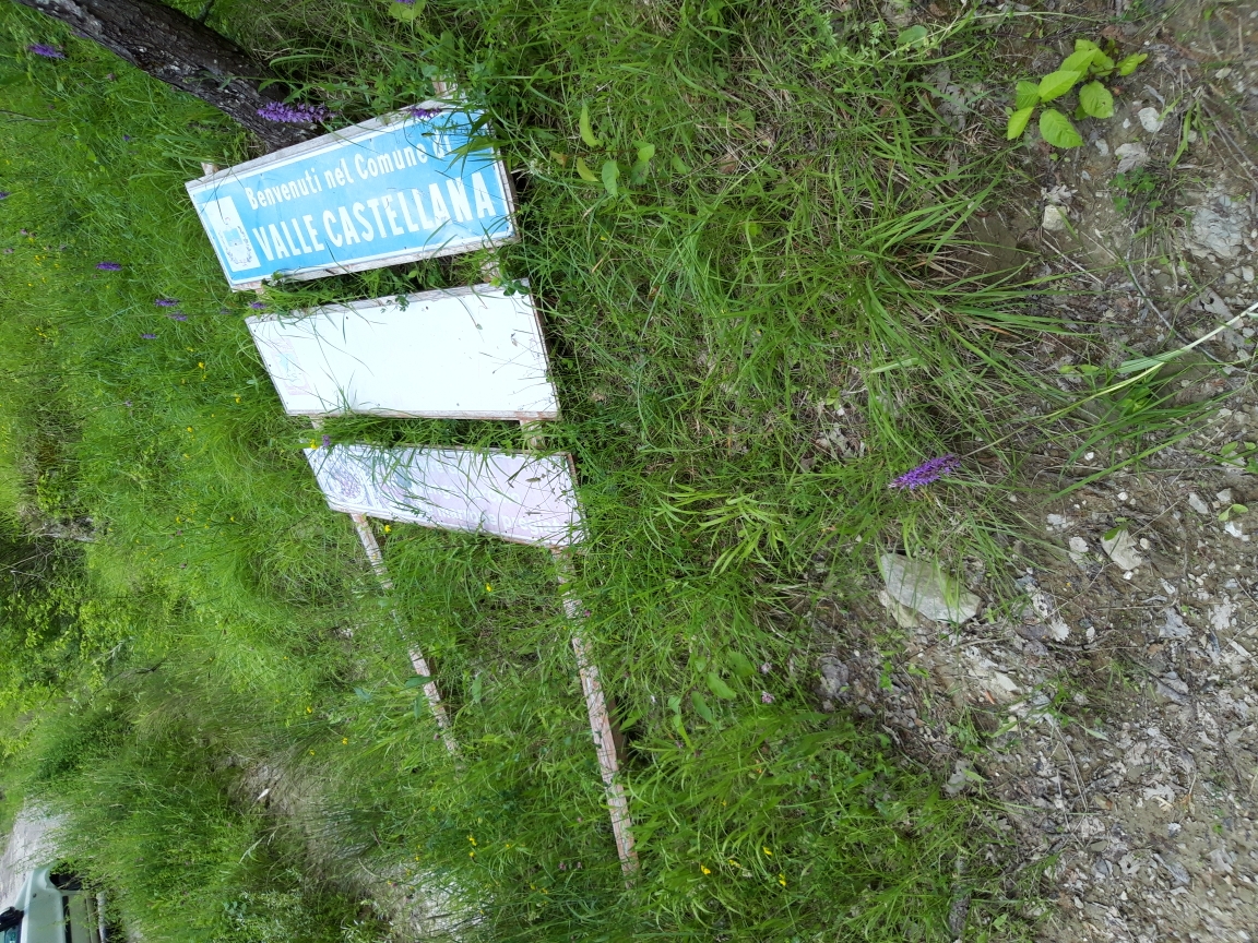 20200618_172743.jpg