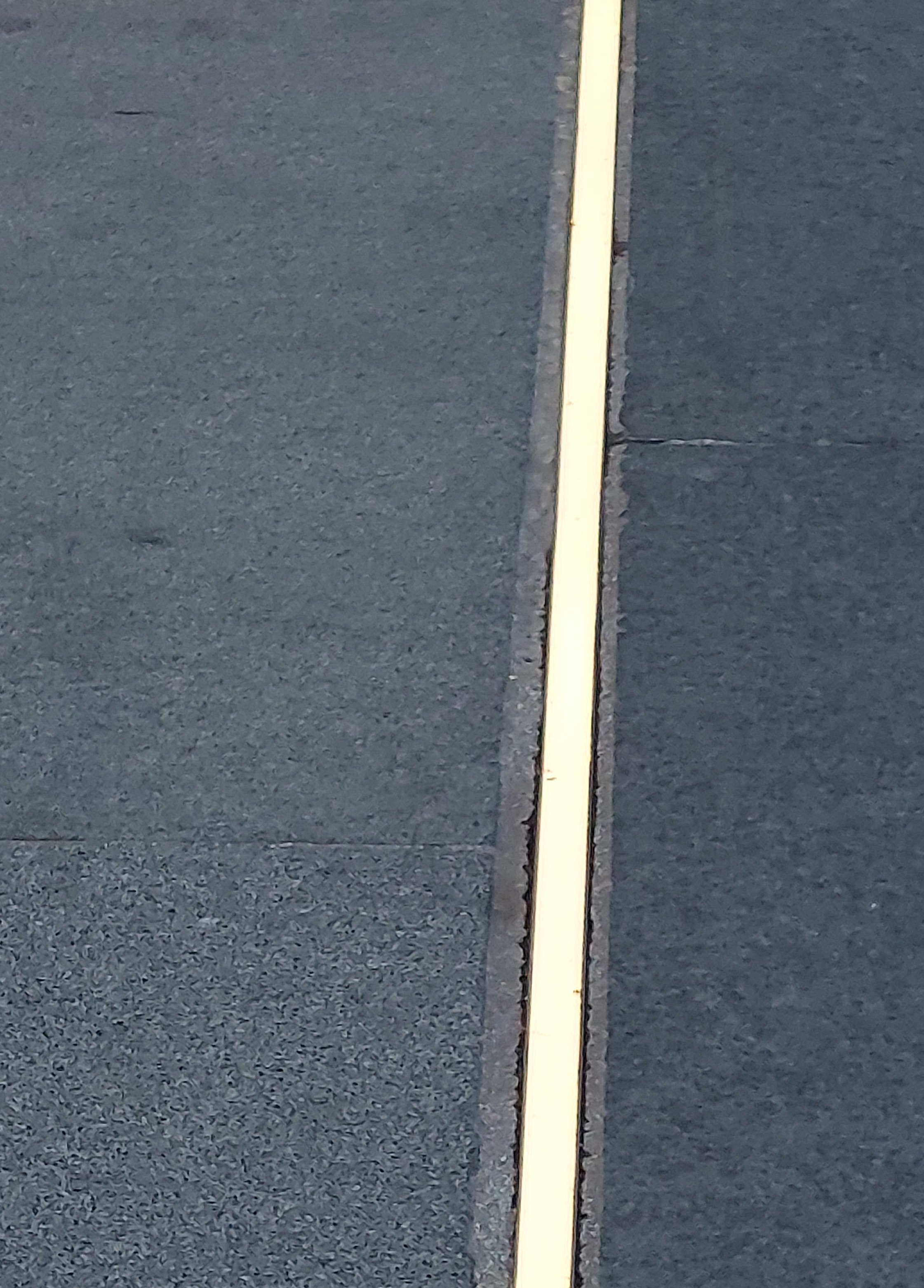 20230119_150547.jpg