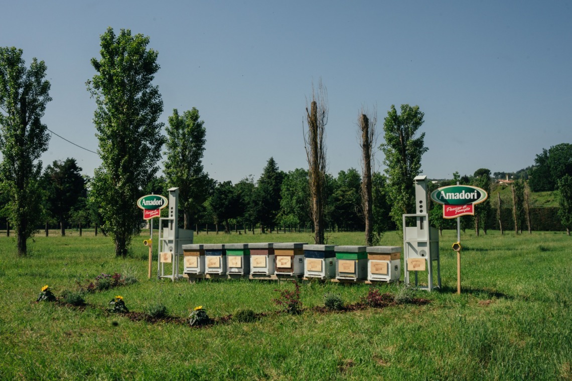 Apiario-Amadori_1.jpg