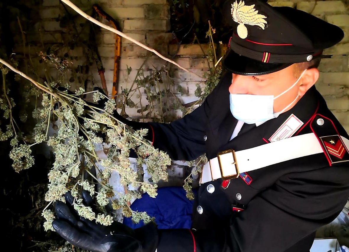 CARABINIERIMARIJUANA
