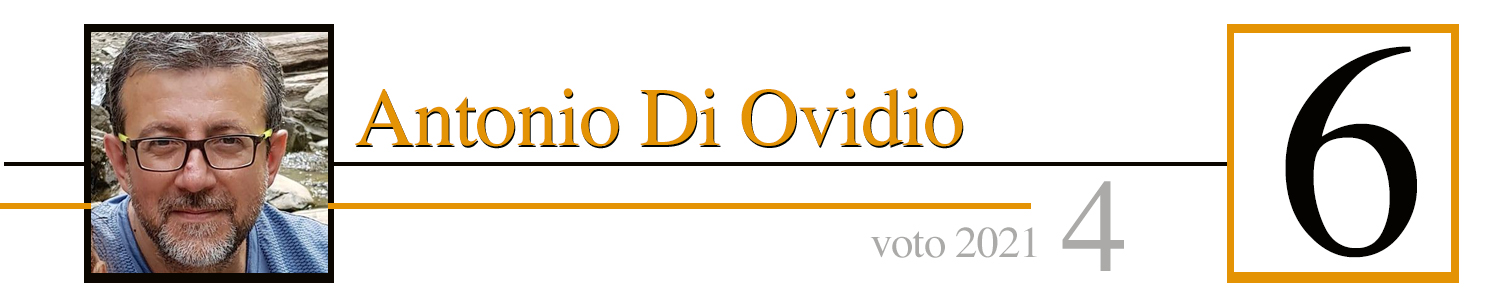 DIxOVIDIO.jpg