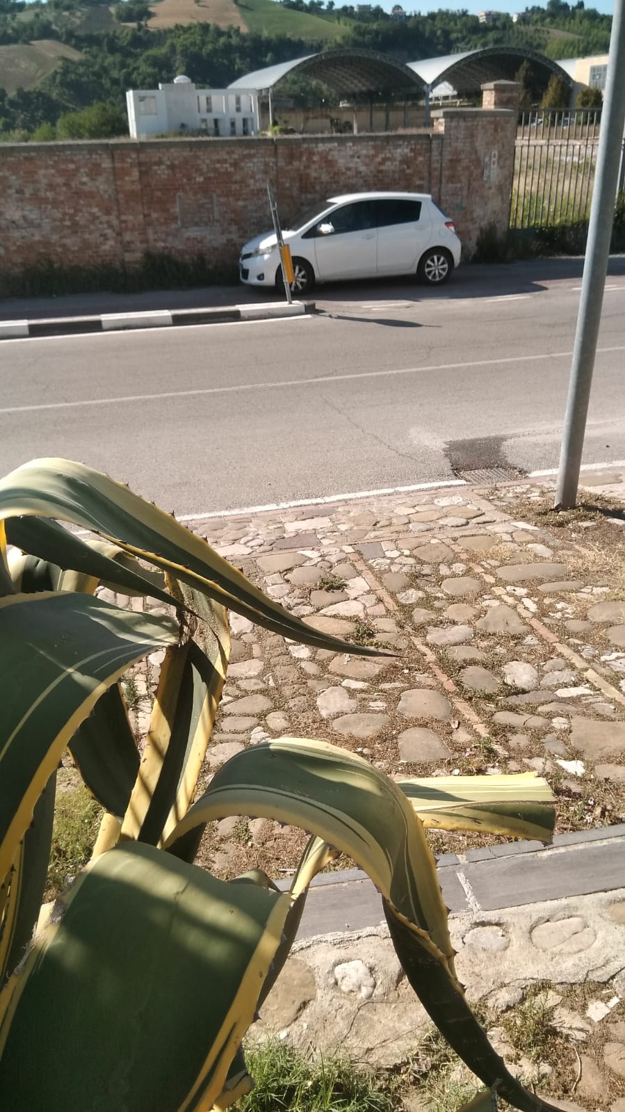 Gammapista