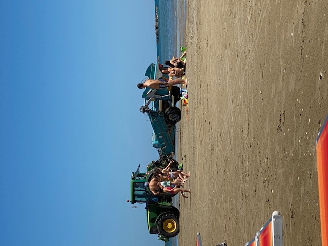 IMG_7047.jpg