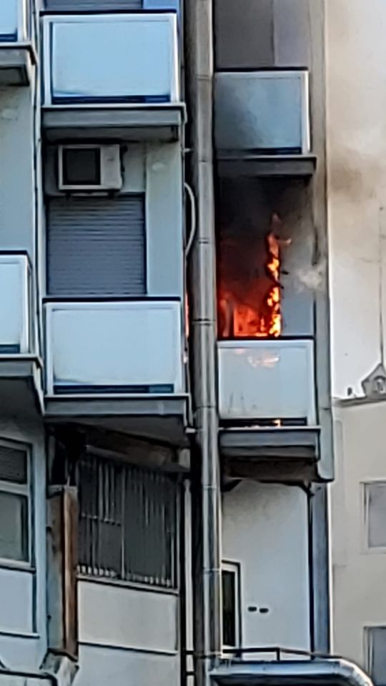 Kingfiamme2