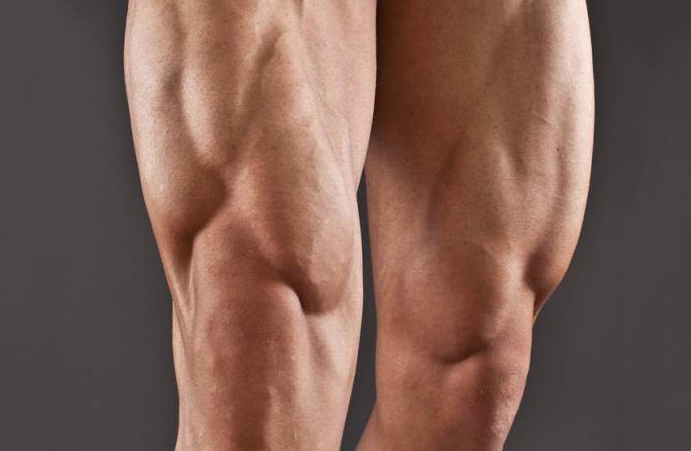 MUSCOLI.png