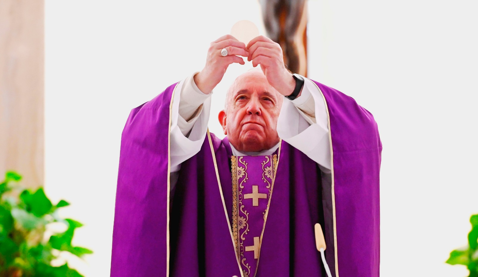 Papaoggi