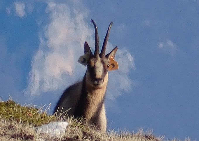 Schermata_2023-01-19_alle_09.05.34_2.png