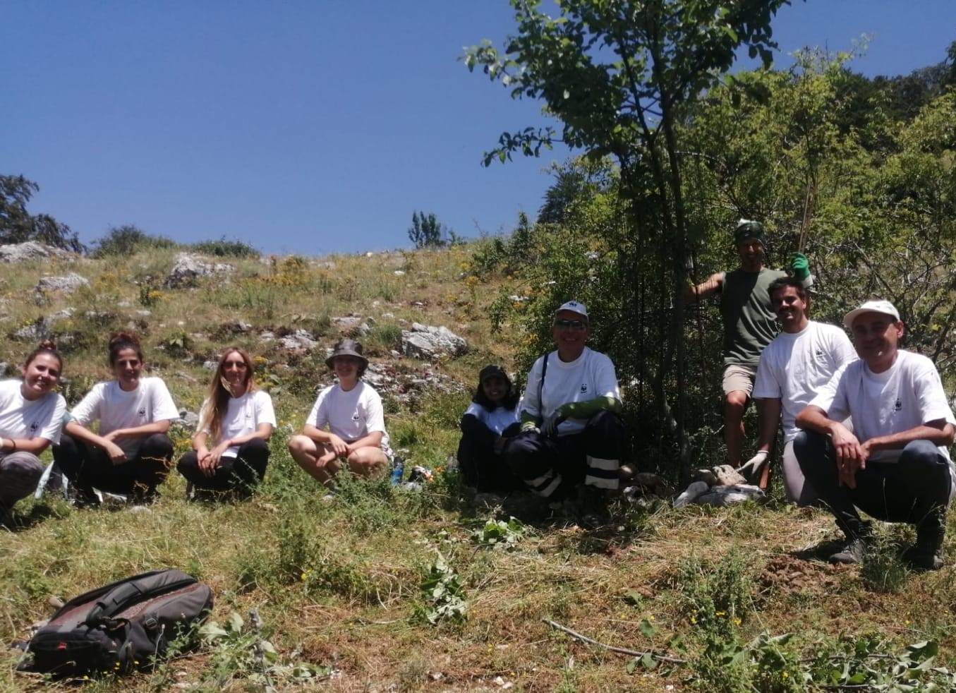 Volontariato_WWF_Orso_05.jpeg