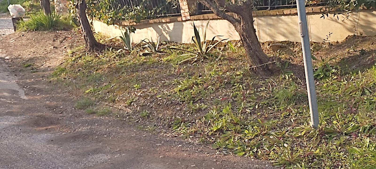 WhatsApp_Image_2022-11-29_at_17.10.19.jpeg