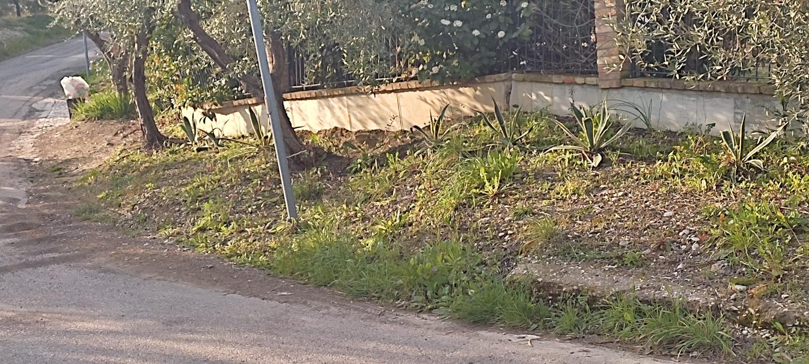 WhatsApp_Image_2022-11-29_at_17.10.22.jpeg