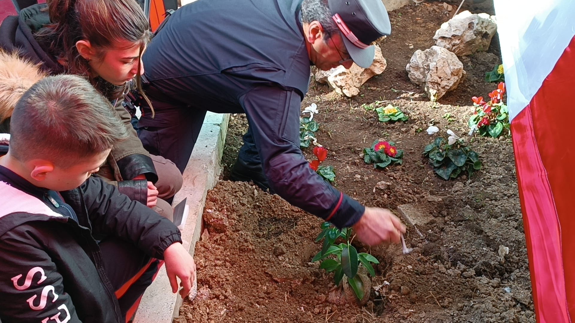 alberofalconemessaadimora