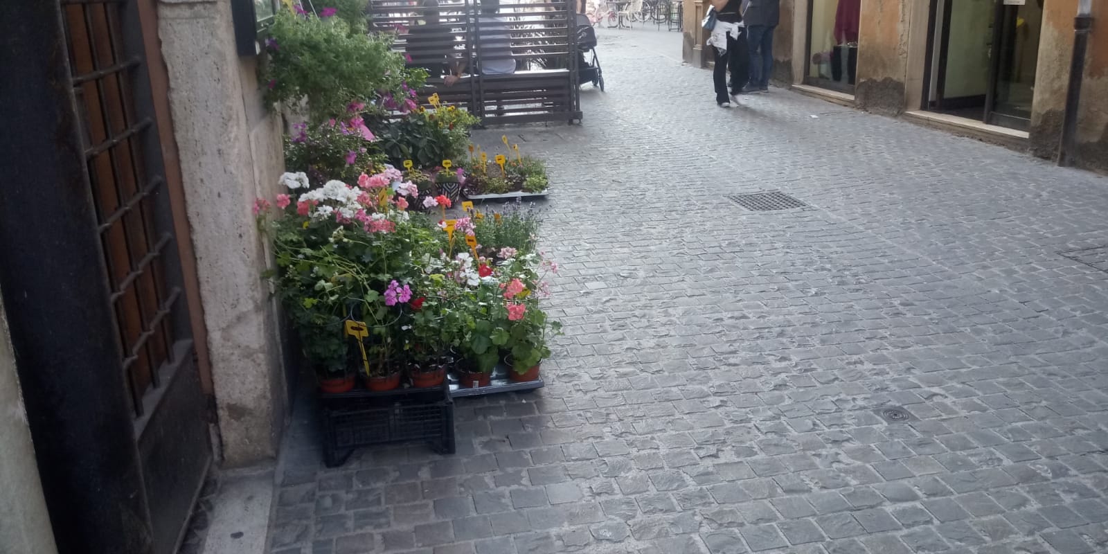 ascoli1.jpg