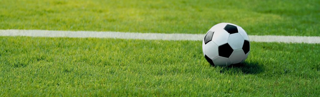 calcio 1024x311