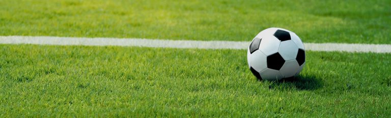 calcio 768x233