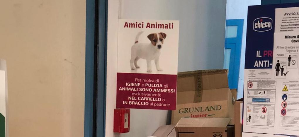 caninegozio