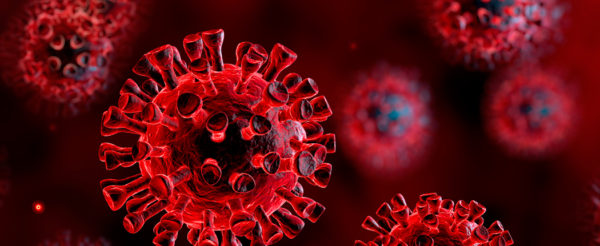 coronavirus scienza 600x246
