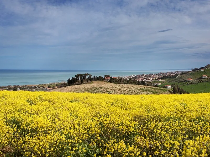 panoramica verso nord della riserva del borsacchio sul mare