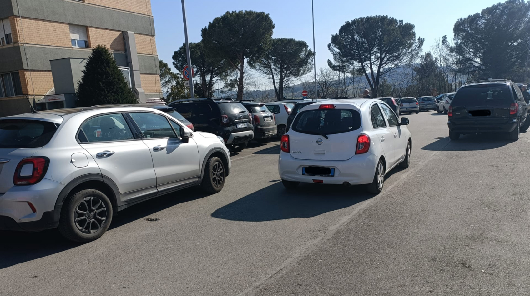 parkmazzini.jpg