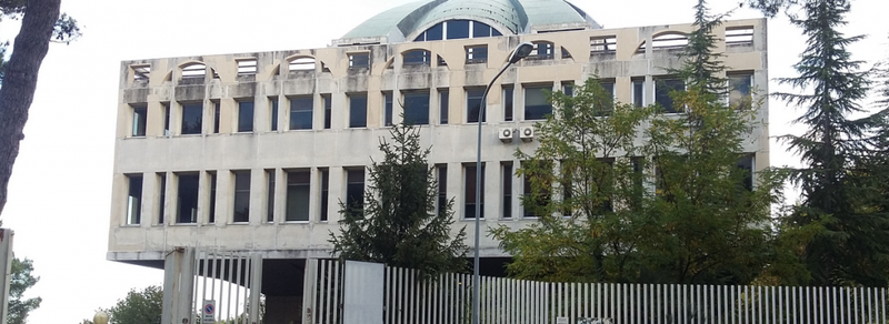 tribunale 1024x374