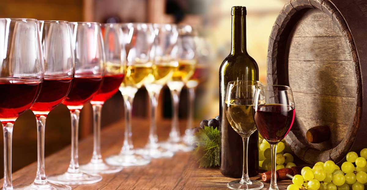 vinoproduzione degustazione 1